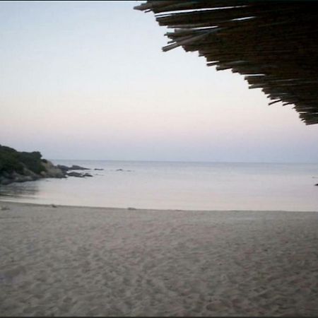 Graziosa Dependance Βίλα Stintino Εξωτερικό φωτογραφία