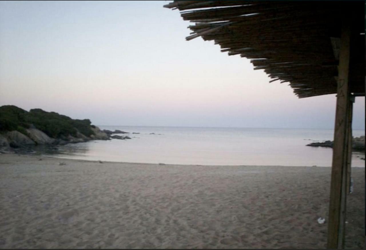 Graziosa Dependance Βίλα Stintino Εξωτερικό φωτογραφία